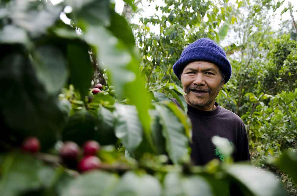 I Ketut Jati pioneers Geographical Indication of Bali Coffee Specialty Kintamani