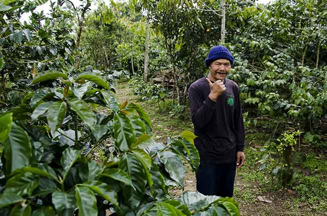 Bali Coffee production start from good farming - Pourmorecoffee.com
