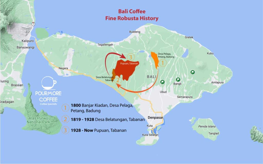 History of Bali Robusta Coffee Started in This Area - Pourmorecoffee.com