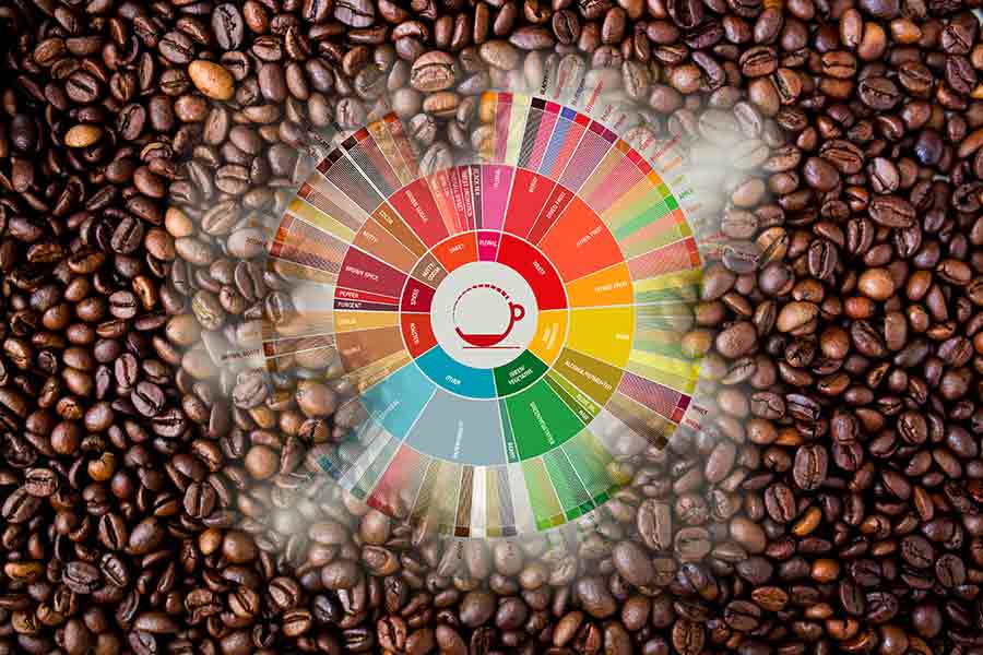 Coffee Flavor Wheel and roasted beans. Illustration: pourmorecoffee.com