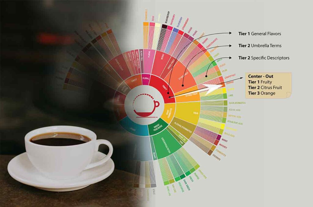 Coffee flavor wheel - Roda Rasa Kopi Bali Specialty. Ilustrasi: pourmorecoffee.com