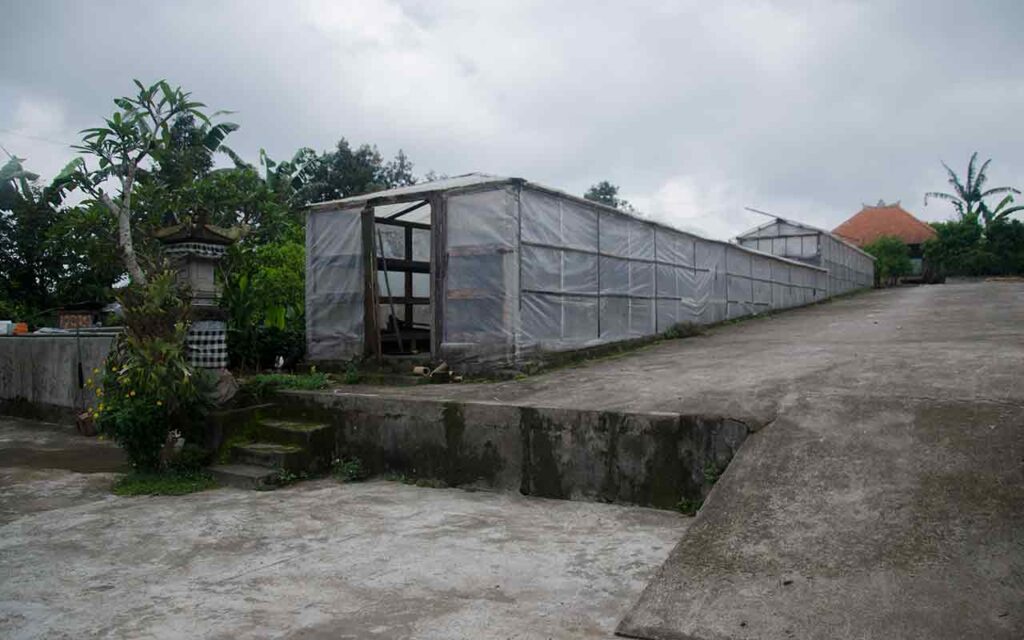 Green house Arca Ulian Coffee processor. Tempat pengeringan hasil panen kopi. Photo: pourmorecoffee.com