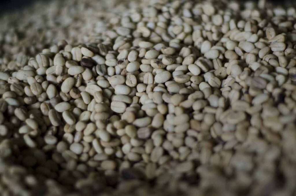Wet or Full-wash process coffee specialty Bali. Photo: pourmorecoffee.com