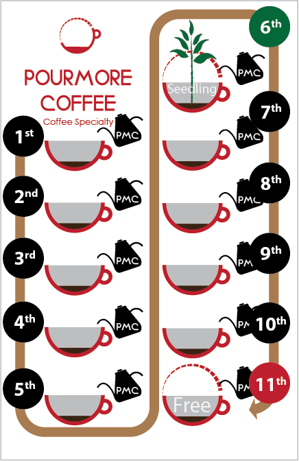 How it works, coffee seedling for coffee farmers. Pourmore Coffee.